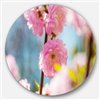 Designart 36-in x 36-in Almond Tree Pink Flowers Large Flower Metal Circle Wall Art