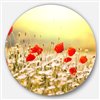 Designart 23-in x 23-in Wild Meadow with Poppy Flowers Oversized Circle Metal Artwork