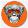 Designart 36-in x 36-in Monkey with Mirror Sunglasses Animal Metal Circle Wall Art