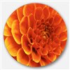 Designart 36-in x 36-in Large Orange Flower and Petals Floral Circle Metal Wall Decor