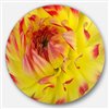 Designart 36-in x 36-in Smooth Yellow Red Flower Petals Floral Circle Metal Wall