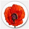Designart 36-in x 36-in Red Poppy Blossom Close Up Floral Metal Circle Wall Art