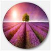 Designart 29-in x 29-in Purple Sky over Stunning Lavender Field Metal Circle Wall Art