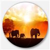Designart 23-in x 23-in Elephants Walking at Sunset African Metal Circle Wall Art