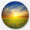 Designart 11-in x 11-in Beauty Sunset over Sunflowers Field Disc Metal Circle Wall Art