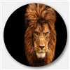Designart 36-in x 36-in Face of Male Lion on Black Ultra Vibrant Metal Circle Wall Art