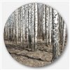 Designart 11-in x 11-in Beautiful Dense Birch Forest View Disc Forest Metal Circle Art