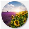 Designart 36-in x 36-in Lavender and Sunflower Fields Disc Floral Metal Circle Wall Art
