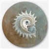 Designart 23-in x 23-in Seashell Treasures from the Sea III Metal Circle Wall Art