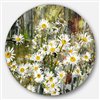 Designart 36-in x 36-in Daisies Flowers Under the Window Floral Metal Circle Wall Art