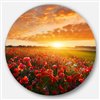Designart 36-in x 36-in Beautiful Poppy Field at Sunset Abstract Metal Wall Art