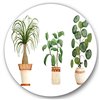 Designart 36-in H x 36-in W Trio of House Plants Ponytail Palm and Ficus - Traditional Metal Art