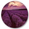 Designart 36-in x 36-in Sunrise and Dramatic Clouds Over Lavender Field III Circle Wall Art