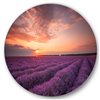 Designart 36-in x 36-in Sunrise and Dramatic Clouds Over Lavender Field XII Circle Wall Art