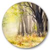 Designart 36-in x 36-in Bright Sunshine Through the Forest Trees II Traditional Wall Art