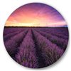 Designart 36-in x 36-in Sunrise and Dramatic Clouds Over Lavender Field XIII Circle Wall Art