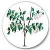 Designart 36-in x 36-in Vintage Green Leaves Plants I Traditional Metal Circle Wall Art