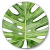 Designart 36-in x 36-in Green Monstera Leaf Tropical Palm Botanical Detail Circle Art