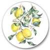 Designart 36-in x 36-in Branch of Yellow Lemons and Leaves I Tropical Metal Circle Art
