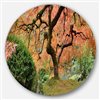 Designart 11-in x 11-in Old Japanese Maple Tree Landscape Circle Metal Wall Art