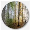 Designart 36-in x 36-in Morning Forest Panoramic View Landscape Circle Metal Wall Art