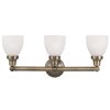 Livex Lighting Classic 3-light Brass Traditional Vanity Light