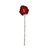 Northlight 23-in Red and Brown Magnolia Artificial Christmas Stem