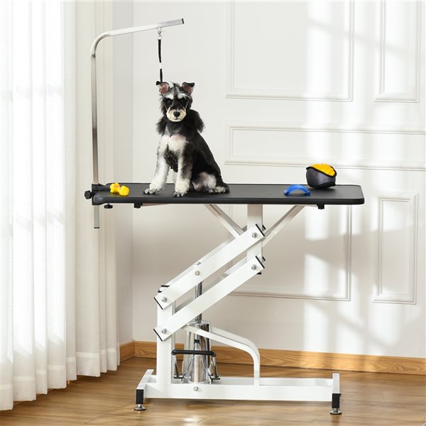 Application Trip browse PawHut Black/White Pet Hydraulic Grooming Table with Adjustable Height |  Lowe's Canada