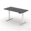 CASAINC 30-in Brown Modern/contemporary Standing Desk