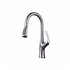 CASAINC Brushed Nickel 1-Handle Pull-Down Deck Mount Handle/Lever Residential Kitchen Faucet