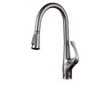 CASAINC Brushed Nickel 1-Handle Pull-Down Handle/Lever Deck Mount Residential Kitchen Faucet