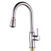 CASAINC Brushed Nickel Deck Mount Pull-Down Handle/Lever Residential 1-Handle Kitchen Faucet