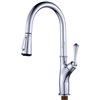 CASAINC Polished Chrome Pull-Down Deck Mount Handle/Lever Residential 1-Handle Kitchen Faucet