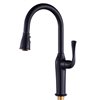 CASAINC Matte Black 1-Handle Pull-Down Deck Mount Handle/Lever Residential Kitchen Faucet