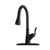 CASAINC Matte Black 1-Handle Pull-Down Handle/Lever Deck Mount Residential Kitchen Faucet