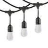 Westinghouse 48-ft 24-Light Clear Glass Plug-In Bulbs LED String Lights