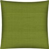 Joita Forma 1-Piece 17-in x 17-in Square Kiwi Indoor/Outdoor Pillow Sewn Closure