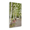 Tangletown Fine Art Japan Bicycle 20 Frameless 24-in H x 16-in W Photography Canvas Print