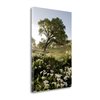 "Tangletown Fine Art Frameless 40-in x 26-in ""Oak Tree - 90"" Canvas Print"