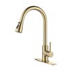 Clihome 16.50-in Gold Kitchen Faucet with Pull Out Sprayer