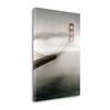 Tangletown Fine Art Frameless 30-in H x 21-in W "The Fog Comes In" by Laura Culver, Canvas Print
