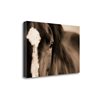 Tangletown Fine Art Dark Eyes Frameless 22-in H x 34-in W Animals Canvas Print