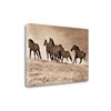 Tangletown Fine Art Kicking Dust Frameless 22-in H x 33-in W Animals Canvas Print