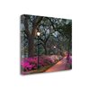 "Tangletown Fine Art Frameless 28-in x 22-in ""Forsythe Park"" by Winthrope Hiers Canvas Print"