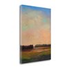 "Tangletown Fine Art Frameless 21-in x 28-in ""Shifting Tide"" by William Mccarthy Canvas Print"