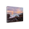 "Tangletown Fine Art Frameless 27-in x 18-in ""Natures Palette"" by Natalie Mikaels Canvas Print"