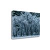 "Tangletown Fine Art Frameless 19-in x 28-in ""Black Oaks Yosemite"" Canvas Print"