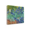 "Tangletown Fine Art ""Irises"" by Vincent Van Gogh Frameless 24-in H x 32-in W Canvas Print"