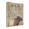 "Tangletown Fine Art ""Where Does an Elk Walk"" By Anita Phillips 21-in x 21-in Canvas Print"