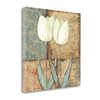 "Tangletown Fine Art Frameless 30-in x 30-in ""Tulip II"" by Jo Moulton Canvas Print"
